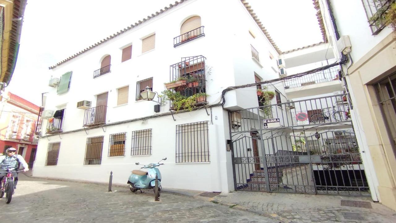 Apartamento Gema De La Juderia En 科爾多瓦 外观 照片